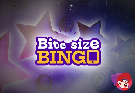New Site Launched - Bite Size Bingo!