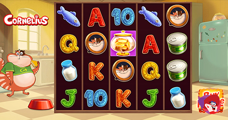 Kayleigh White profile image