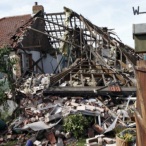 Glo Wood profile image