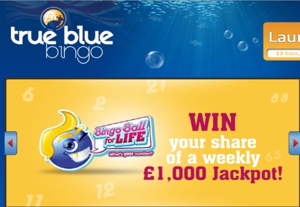 New Bingo Site Hits the Market Soon