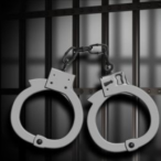 Ava Jackuard profile image