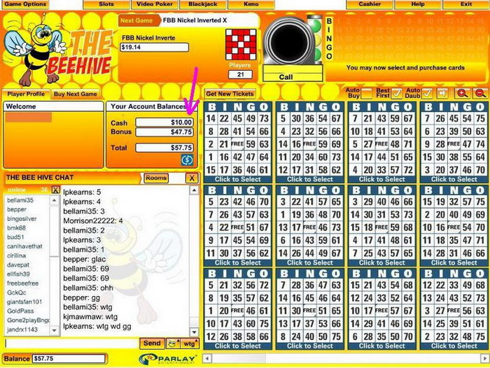 Free Bee Bingo Blog Review