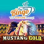 Kayleigh White profile image