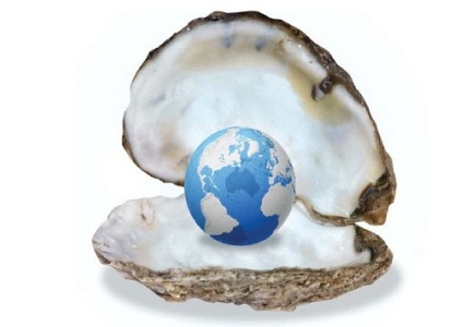 The Bingo World is Your Oyster