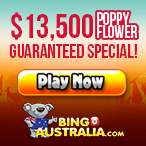 Andrej Vidovic profile image