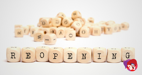 Kayleigh White profile image