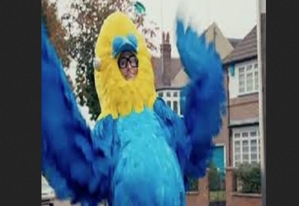 William Hill Bingo Releases New Ad