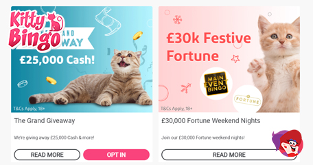Purr-fect Promos with Feline Fine Jackpots – It’s Kitty Bingo!