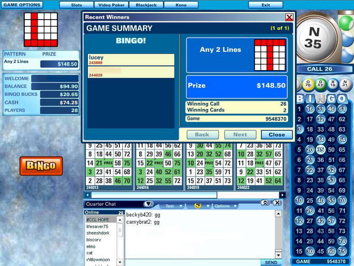 Best Damn Bingo Blog Review