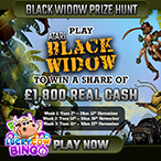 Andrej Vidovic profile image