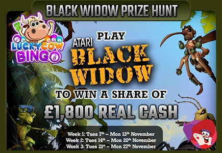 Scour For Cash on LuckyCow Bingo's Black Widow Prize Hunt