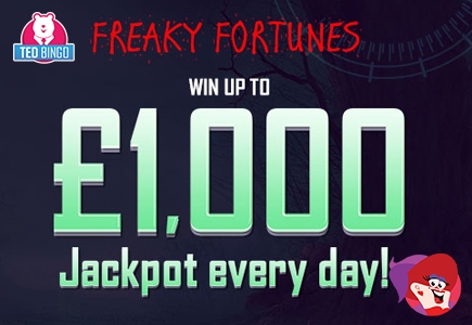 Ted Bingo Introduces Exclusive Promos and Jackpots