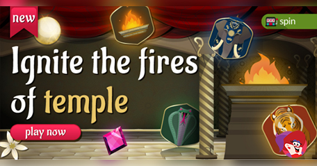 Kayleigh White profile image