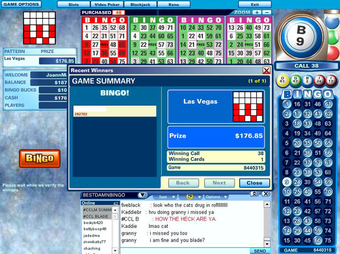 Best Damn Bingo Blog Review