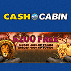 Kayleigh White profile image