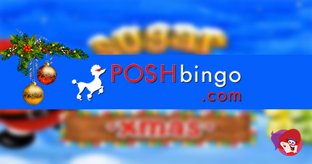 Kayleigh White profile image