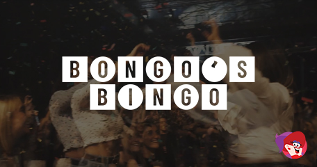 Bitter Legal Battle Over Who Owns Bongo’s Bingo Intensifies on Final Day of Hearing