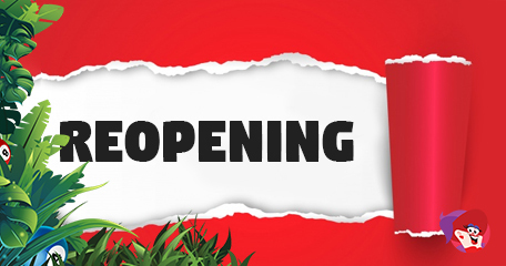 Kayleigh White profile image