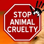 Ava Jackuard profile image