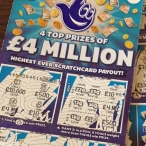 Glo Wood profile image