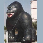 Glo Wood profile image