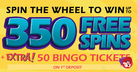 Kayleigh White profile image