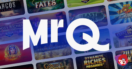 Kayleigh White profile image