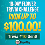 Andrej Vidovic profile image