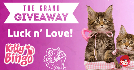 Kayleigh White profile image