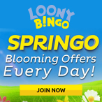 Andrej Vidovic profile image