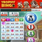 Glo Wood profile image