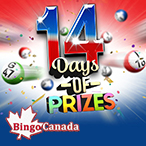 Andrej Vidovic profile image