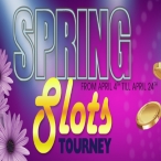 Natalie Stephanopoulos profile image