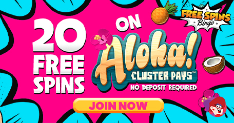 New Bingo Site Round-Up – And Promotions: Free Spins Bingo and Bingo Fling
