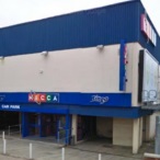 Glo Wood profile image