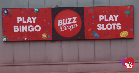 Kayleigh White profile image