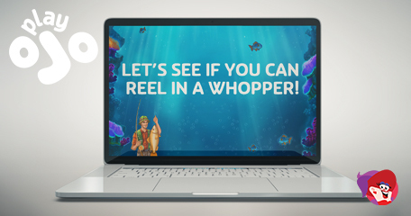 Kayleigh White profile image