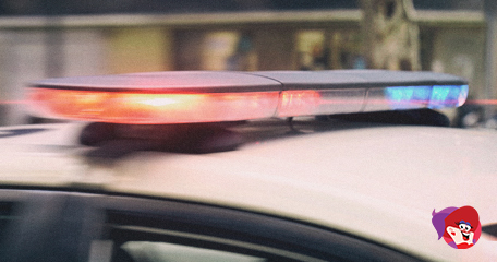 Kayleigh White profile image