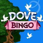 Kayleigh White profile image