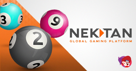 Nektan Launches Bingo Across B2C White Label Casino Network
