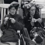 Glo Wood profile image