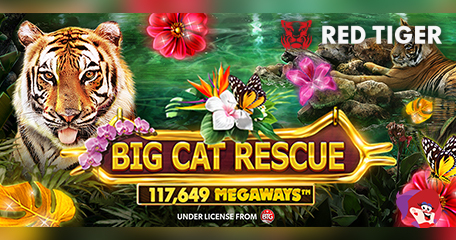 Carol Baskin Gets the Megaways Treatment in New Red Tiger Slot