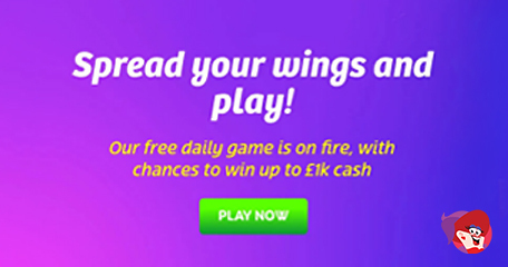 Kayleigh White profile image