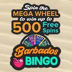 Kayleigh White profile image