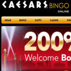 Glo Wood profile image