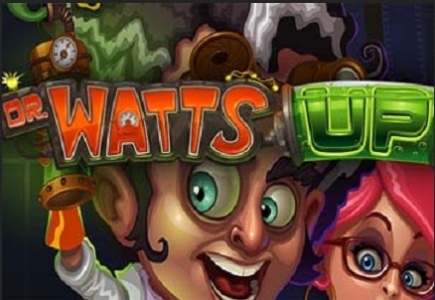 Bingo Slot Fun Play vs Real Play