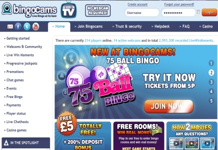 Bingo Bang Progressive Jackpot Win at Bingo Cams