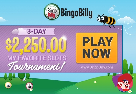 bingo billy login