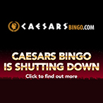 Alex Hoffmann profile image