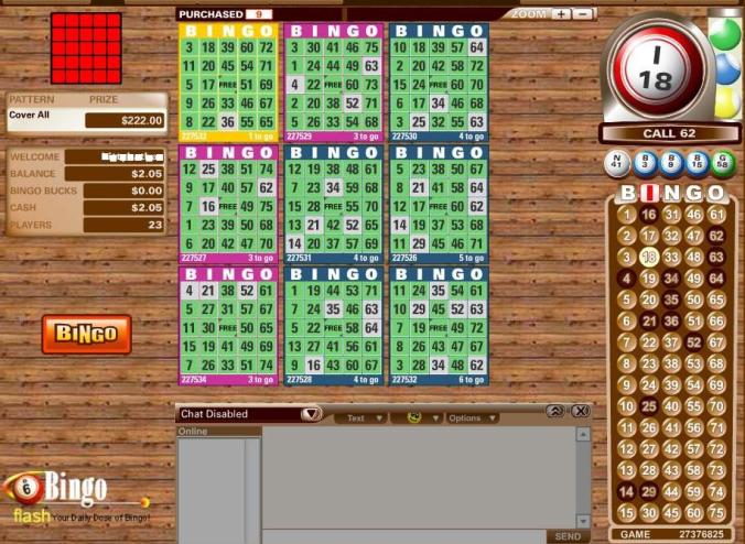 Bingo Flash Review